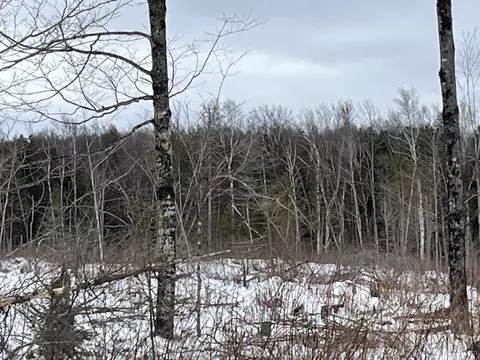 40 Acres Cr 482, Ishpeming, MI 49849 photo 16