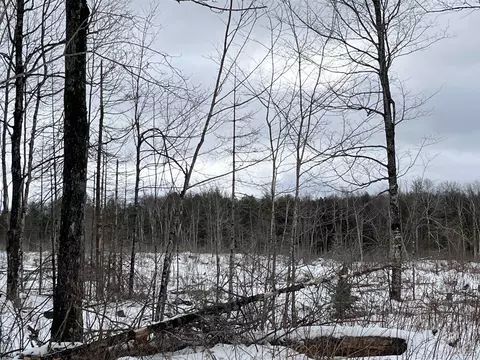 40 Acres Cr 482, Ishpeming, MI 49849 photo 10