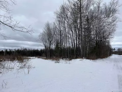 40 Acres Cr 482, Ishpeming, MI 49849 photo 5