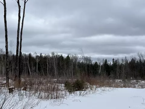 40 Acres Cr 482, Ishpeming, MI 49849 photo 12