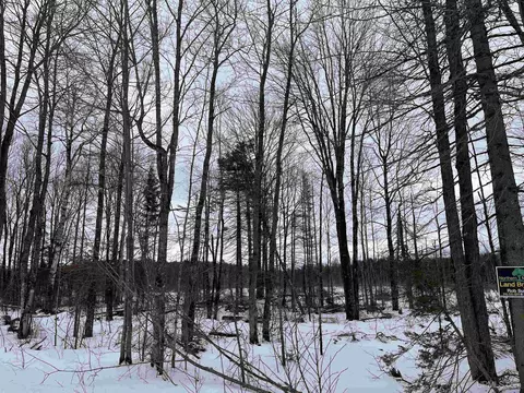 40 Acres Cr 482, Ishpeming, MI 49849 photo 2