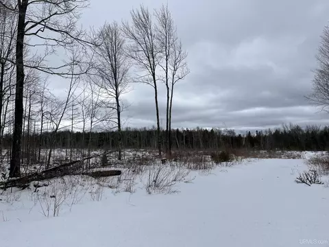 40 Acres Cr 482, Ishpeming, MI 49849 photo 8