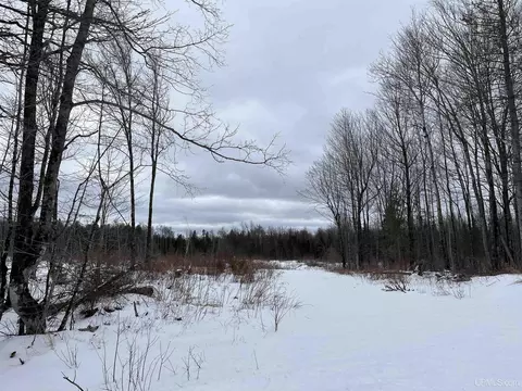 40 Acres Cr 482, Ishpeming, MI 49849 photo 4