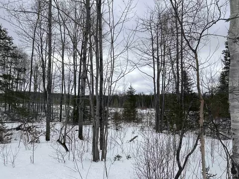 40 Acres Cr 482, Ishpeming, MI 49849 photo 21