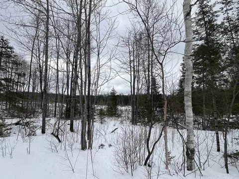40 Acres Cr 482, Ishpeming, MI 49849 photo 19