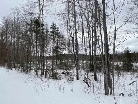 40 Acres Cr 482, Ishpeming, MI 49849 photo 20