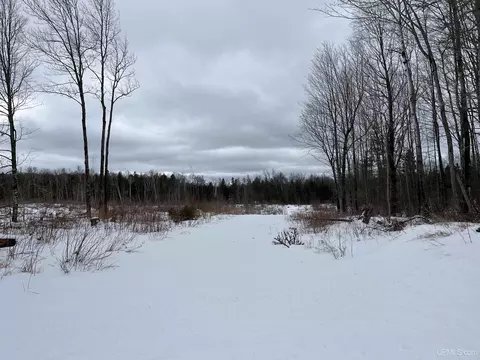 40 Acres Cr 482, Ishpeming, MI 49849 photo 7