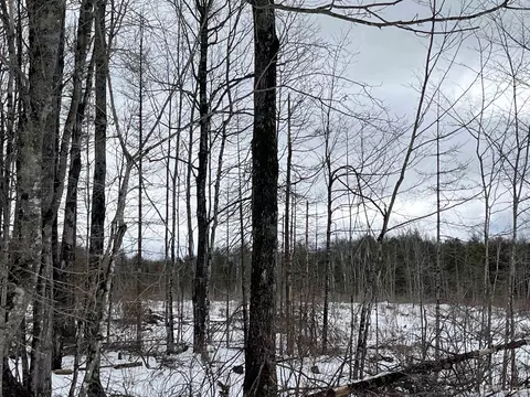 40 Acres Cr 482, Ishpeming, MI 49849 photo 9