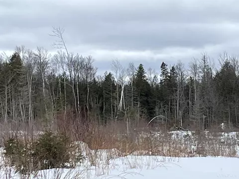 40 Acres Cr 482, Ishpeming, MI 49849 photo 15