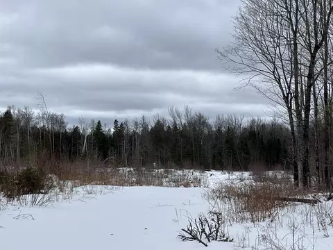 40 Acres Cr 482, Ishpeming, MI 49849