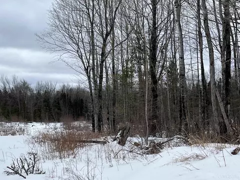 40 Acres Cr 482, Ishpeming, MI 49849 photo 13