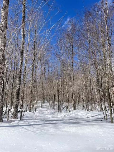 32399 W Johnson Lk, Eckerman, MI 49728 photo 42