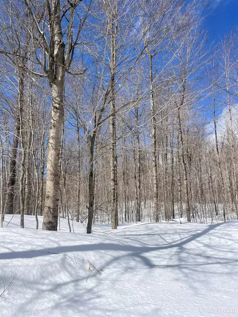 32399 W Johnson Lk, Eckerman, MI 49728 photo 25