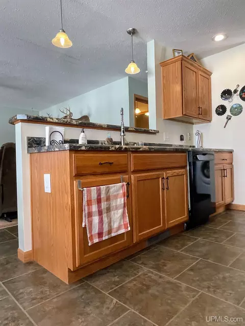 32399 W Johnson Lk, Eckerman, MI 49728 photo 19