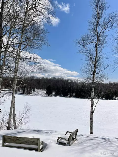32399 W Johnson Lk, Eckerman, MI 49728 photo 40