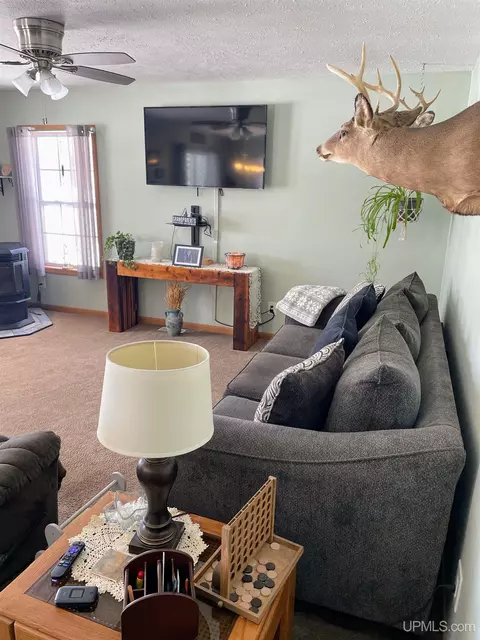 32399 W Johnson Lk, Eckerman, MI 49728 photo 9