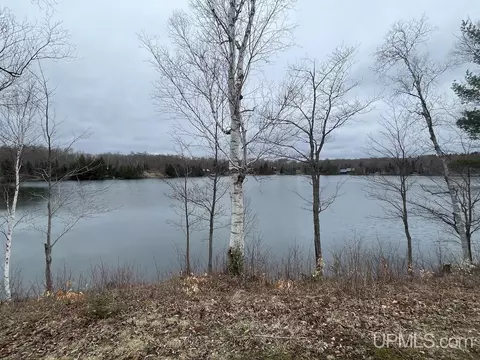 32399 W Johnson Lk, Eckerman, MI 49728 photo 47