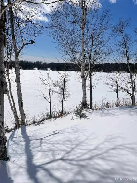 32399 W Johnson Lk, Eckerman, MI 49728 photo 41