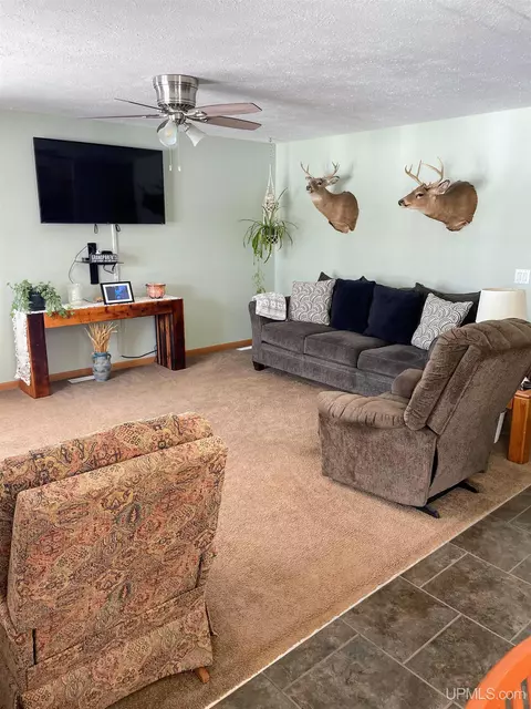 32399 W Johnson Lk, Eckerman, MI 49728 photo 10
