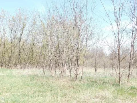 4 Abby, Dryden, MI 48428 photo 2