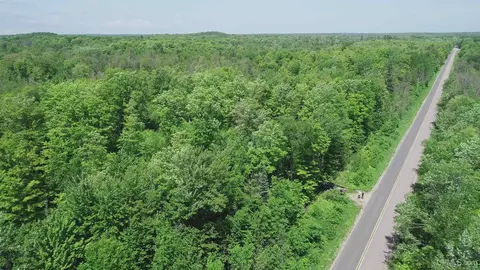 40 Acres Maple Grv, Skandia, MI 49885