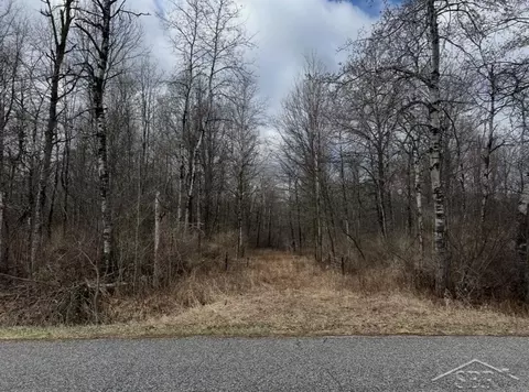 176 S Castor, Shepherd, MI 48883
