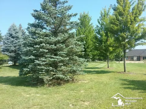N Custer, Monroe, MI 48162 photo 6