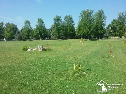 N Custer, Monroe, MI 48162 photo 3