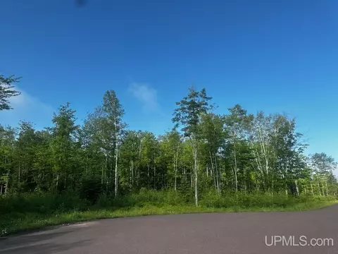 Unit 7 Greenway, Chassell, MI 49916