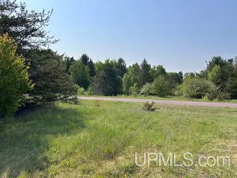 13408 W Jackola, Stanton, MI 49905