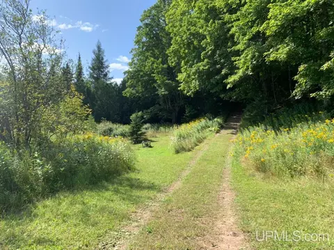 5049 Samuelson, Chatham, MI 49816 photo 5