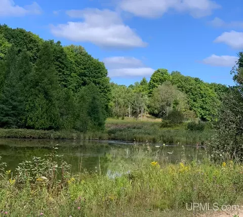 5049 Samuelson, Chatham, MI 49816 photo 2