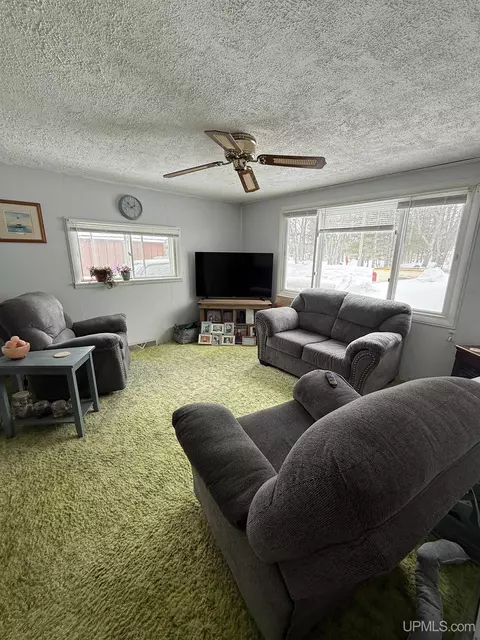 Living - n5352 Pine Street, Shingleton, MI 49884 photo 2 of 2