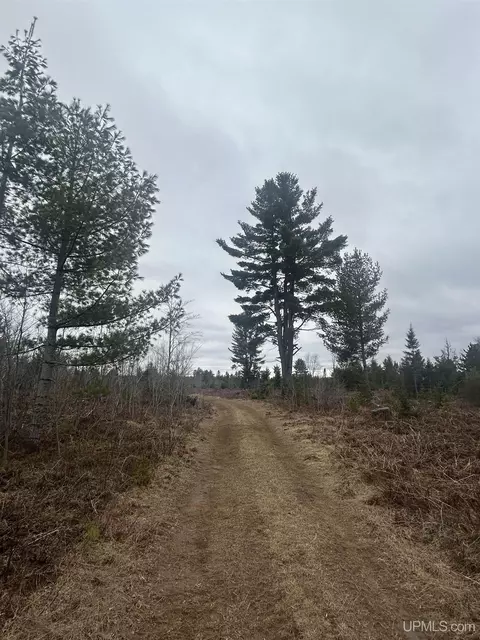 4 Johnson Lake Road, Gwinn, MI 49841