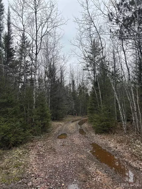 6 Johnson Lake Road, Gwinn, MI 49841
