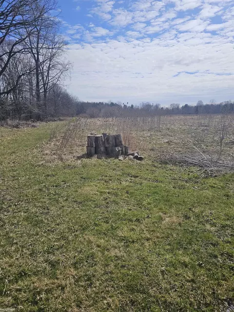 Other - 1431 Stein, Saint Clair, MI 48079 photo 16 of 19