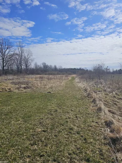 Other - 1431 Stein, Saint Clair, MI 48079 photo 14 of 19