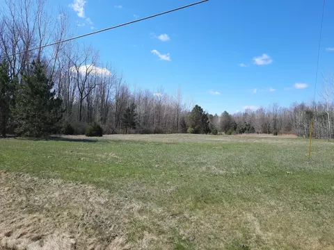 State, Vassar, MI 48768 photo 4