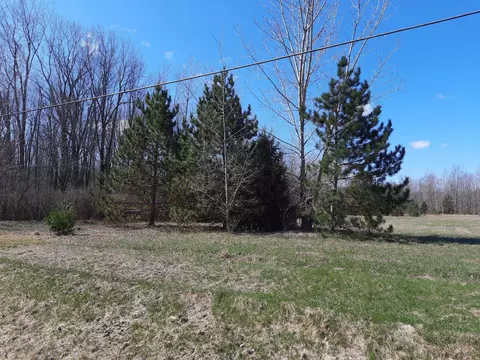 State, Vassar, MI 48768