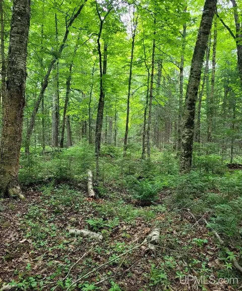 10 4 Acres W Tamarack Lk, Watersmeet, MI 49969