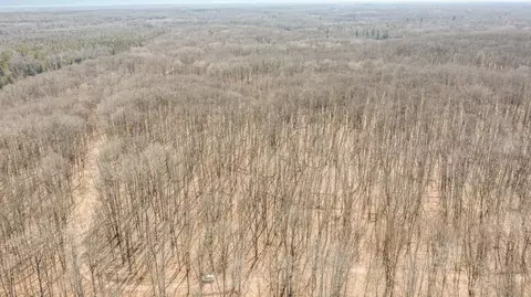 10 1 Acres Nancy Ann, Gladwin, MI 48624 photo 10