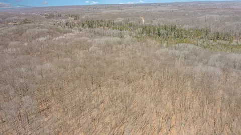10 1 Acres Nancy Ann, Gladwin, MI 48624 photo 12