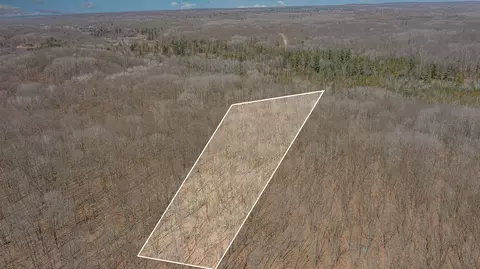 10 1 Acres Nancy Ann, Gladwin, MI 48624 photo 4
