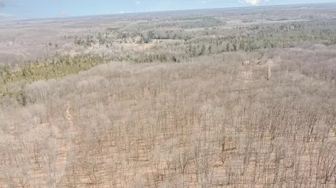 10 1 Acres Nancy Ann, Gladwin, MI 48624 photo 14