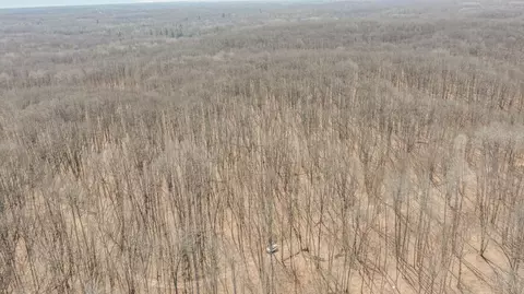 10 1 Acres Nancy Ann, Gladwin, MI 48624 photo 11
