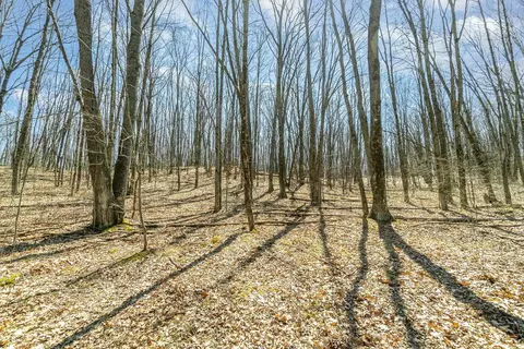 10 1 Acres Nancy Ann, Gladwin, MI 48624 photo 3