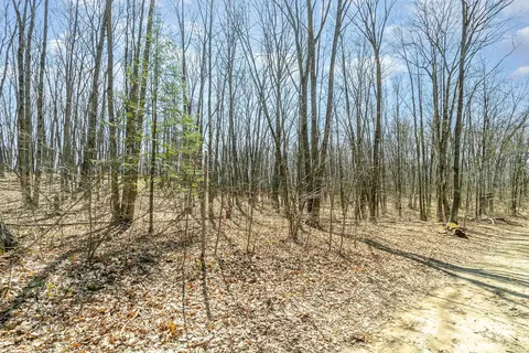 10 1 Acres Nancy Ann, Gladwin, MI 48624 photo 7