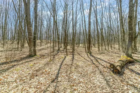 10 1 Acres Nancy Ann, Gladwin, MI 48624