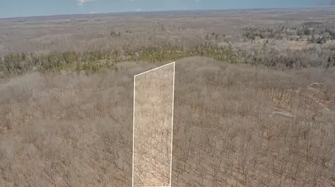 10 1 Acres Nancy Ann, Gladwin, MI 48624 photo 5