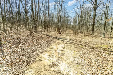 10 1 Acres Nancy Ann, Gladwin, MI 48624 photo 8